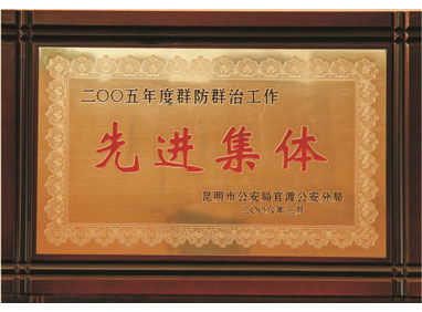 群防群治工作先进集体